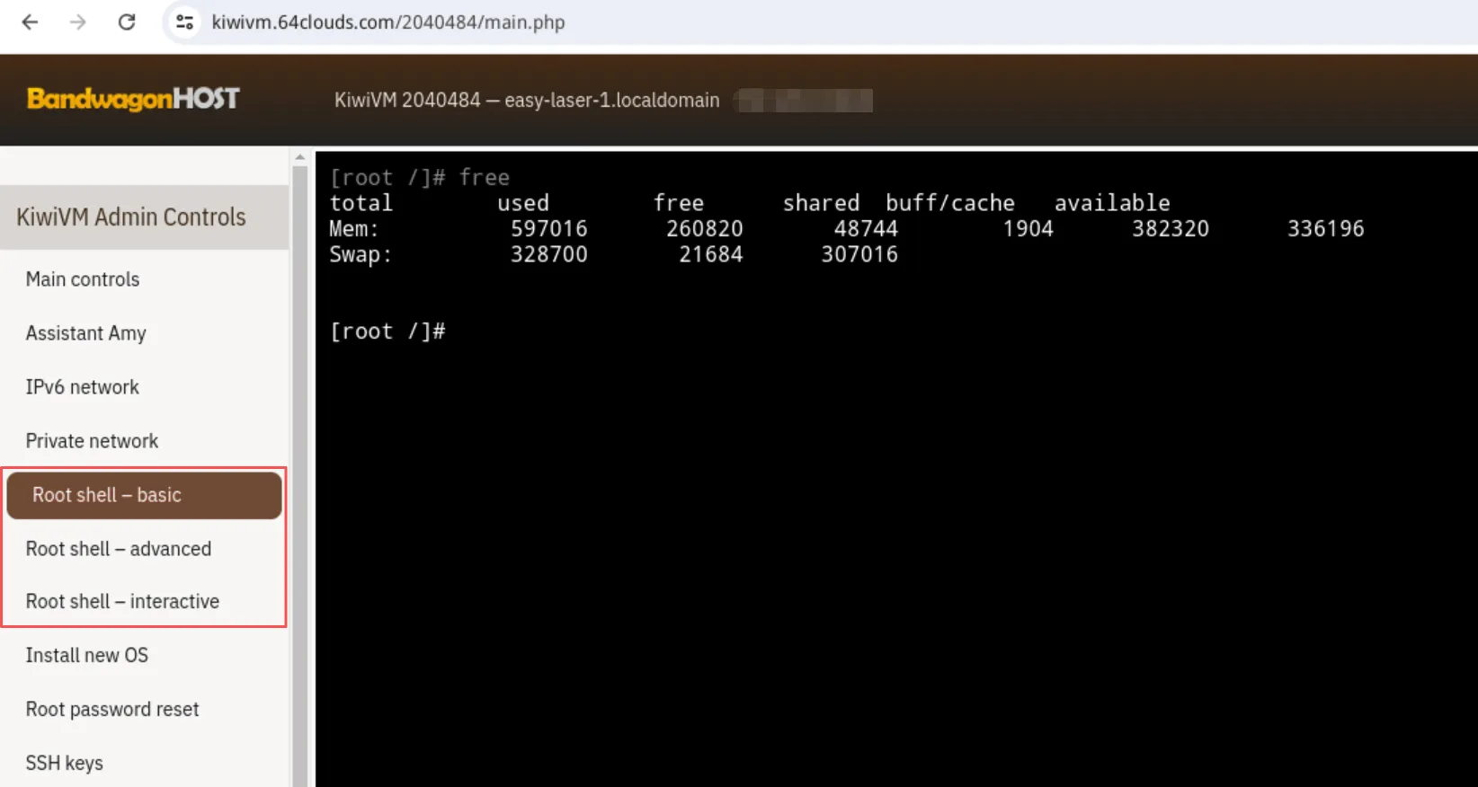 bwh-kiwivm-11.png